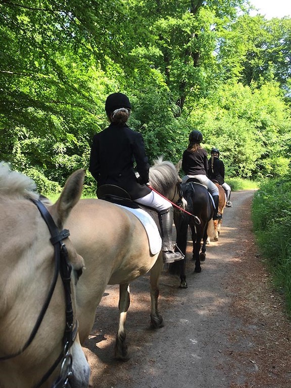 Promenade à cheval